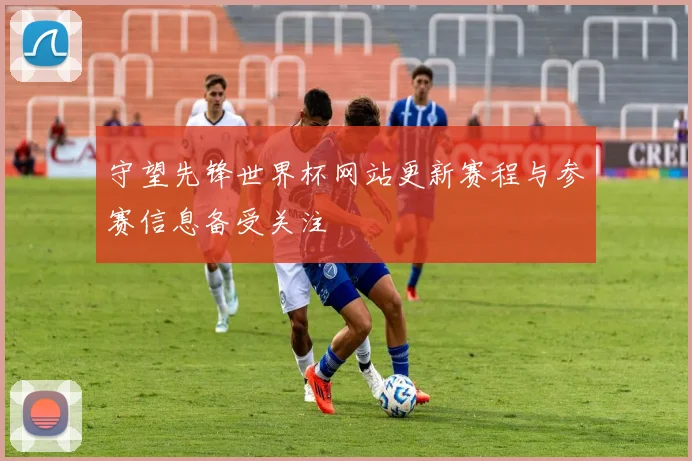 守望先锋世界杯网站更新赛程与参赛信息备受关注